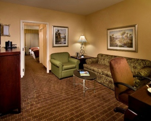 Living room of suite at Buena Vista Suites